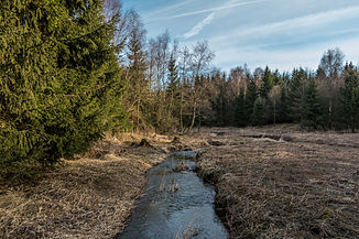 The Schafbach near Höhn