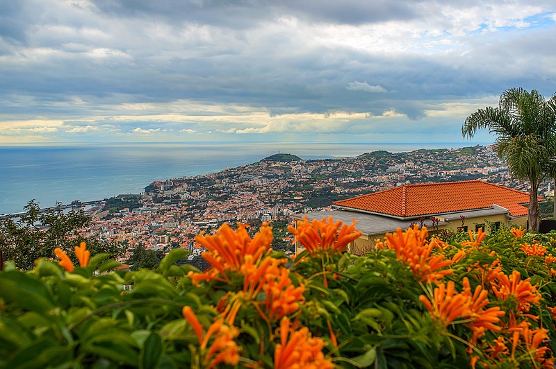 File:Madeira 15 2014.jpg