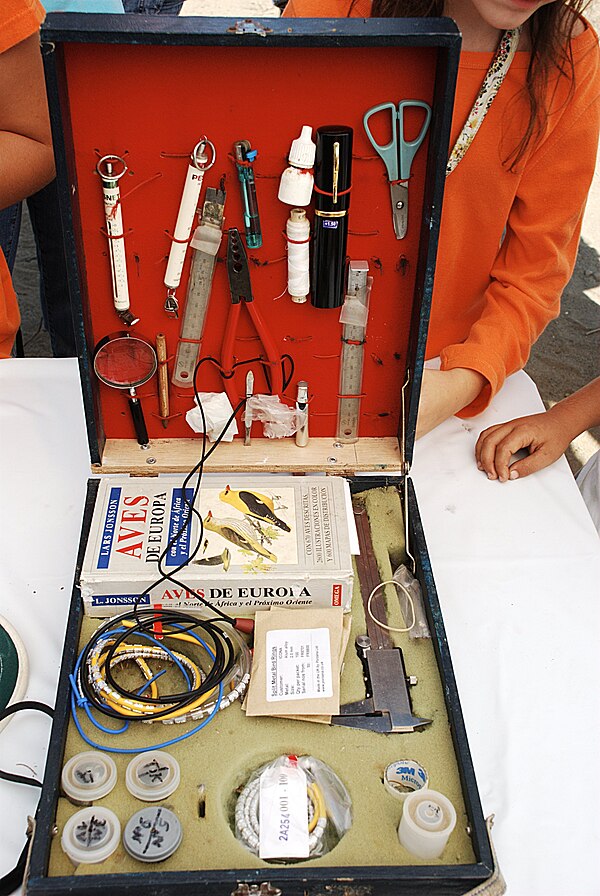 A box of equipment for measuring, weighing and ringing birds.