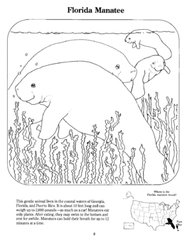 Manatee page from coloring book