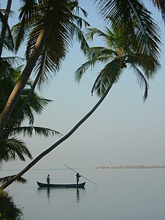 Mangalore fishing.JPG