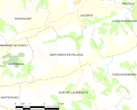 Mapa obce Saint-Amans-de-Pellagal