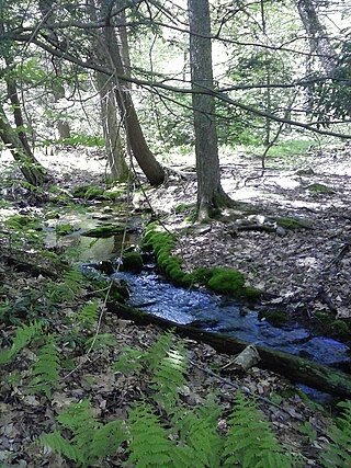 <span class="mw-page-title-main">Maple Spring Brook</span> River