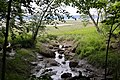 Embouchure du ruisseau le long de la Boucle des pics le 21 juin 2021.