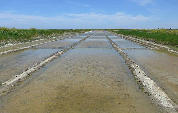 Salt ponds, Ré island