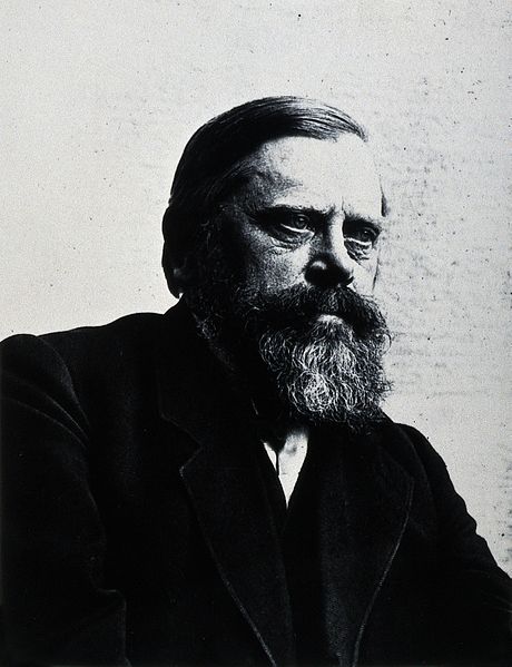 File:Max Gruber. Photograph, 1913. Wellcome V0028709.jpg