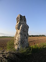 Menhir cunoscut sub numele de La Pierre Clouée din Nanteau-sur-Lunain.jpg