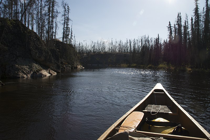 File:Mistik Creek at Uyenanao Lake showing damage from 2010 Kisseynew Lake Forest Fire.jpg