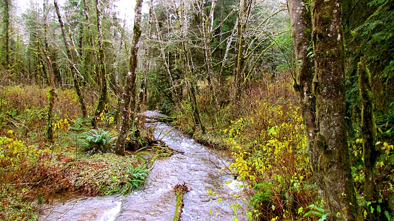 File:Munson Creek Falls (8237566251).jpg