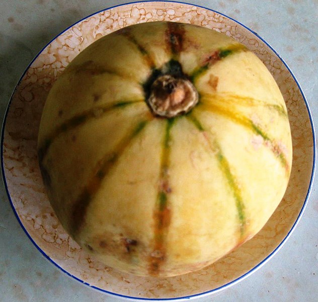 File:Muskmelon Fruit-2.jpg