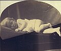 My grandchild Eugene's Boy Archie, born at Barbados aged 2 years & 3 mo. (1865) albumen print 20.6 x 25.2 cm. (arched)