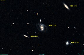 NGC 1215 DSS.jpg