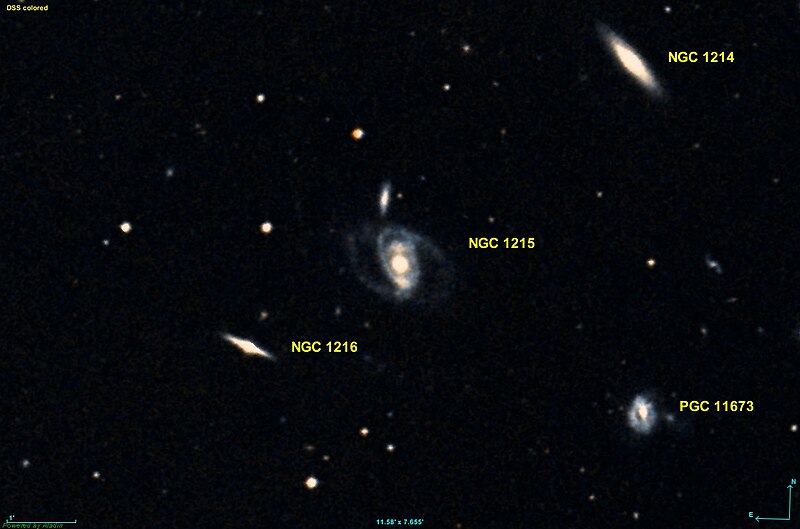 File:NGC 1215 DSS.jpg