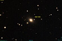 NGC 1239 DSS.jpg