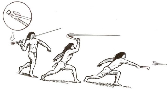 Spear-thrower - Wikipedia