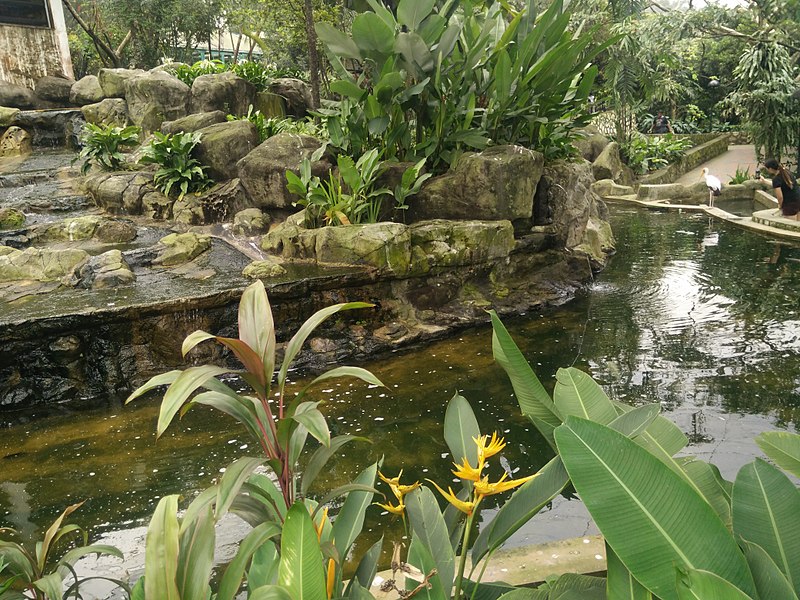 File:Nature Bird Park KL.jpg