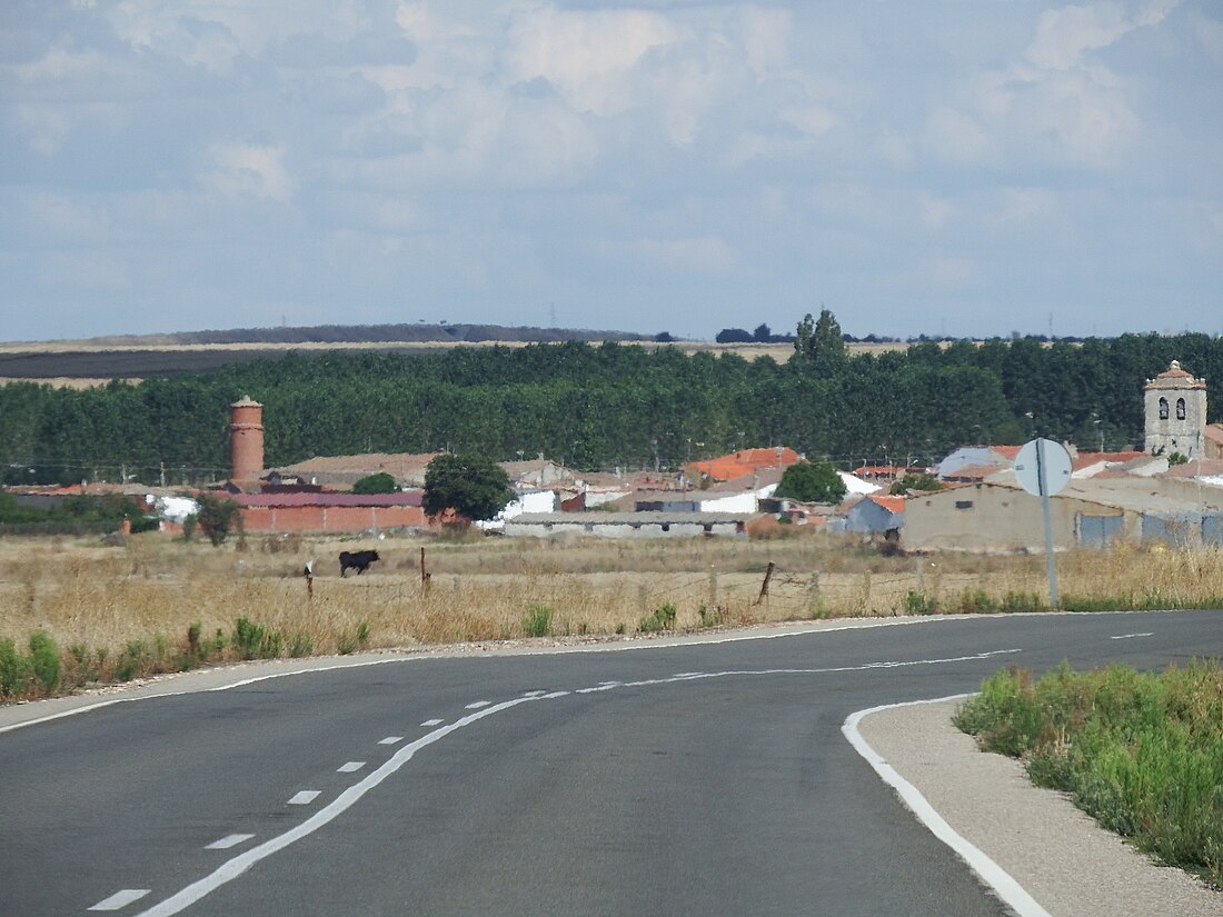 File:Nava de sotrobal2.jpg