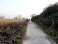 Newport Wetlands RSPB Reserve approaching picnic and play area