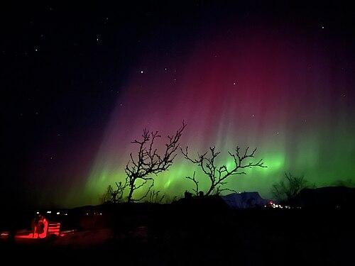 Aurora borealis over Abisko. Photograph: Nazmun Sultana