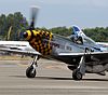 Harrison B. Tordoff's P-51, Upupa Epops, in 2013