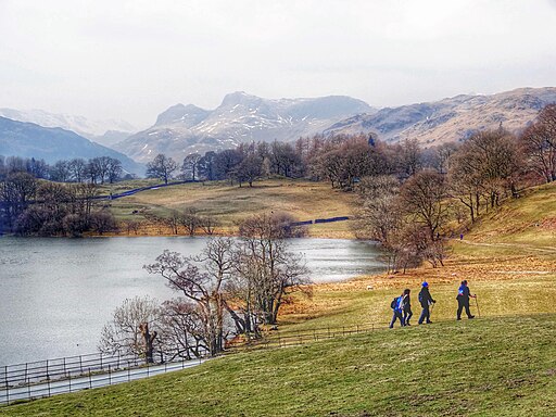 North shore of Loughrigg Tarn - geograph.org.uk - 4354015