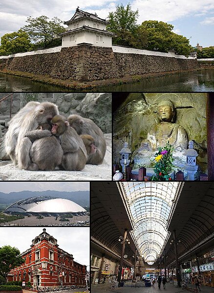 From top, left to right: Funai Castle, Monkeys in Mount Takasaki, Motomachi Stone Buddhas, Ōita Stadium, Old Ōita Bank, Shopping street in central Ōit