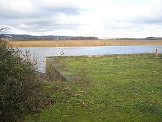 Holborough to Burham Marshes