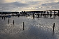 Old Youngs Bay Bridge