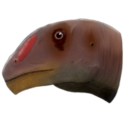 Omeisaurus junghsiensis LMR.png