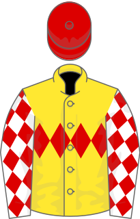 <span class="mw-page-title-main">Haradasun</span> Australian-bred Thoroughbred racehorse