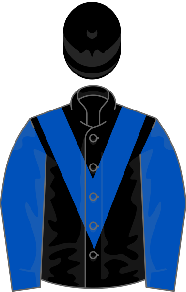 File:Owner Storey's Over Syndicate.svg