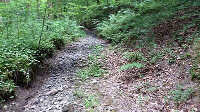 Gravel stream beds in Germany