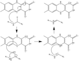 Radical Mechanism of Polyamine Oxidation