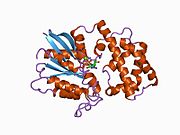 PDB 1bh2 EBI.jpg