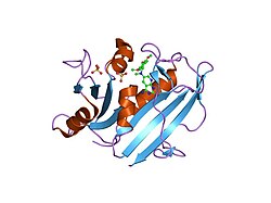 PDB 1mvs EBI.jpg