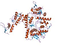 PDB 1xb4 EBI.jpg