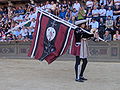 Civetta's flag bearer during the Corteo Storico (medieval pageant) before the Palio