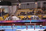 Thumbnail for Gymnastics at the 2010 Summer Youth Olympics – Men's parallel bars