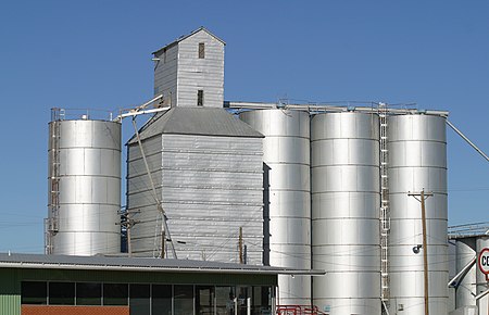 Petersburg Texas Grain Elevator 2010.jpg