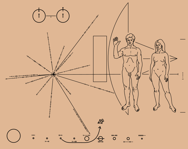 https://upload.wikimedia.org/wikipedia/commons/thumb/0/02/Pioneer_plaque.svg/800px-Pioneer_plaque.svg.png