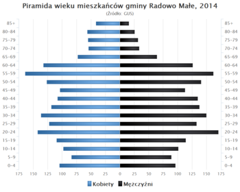 Piramida wieku Gmina Radowo Male.png