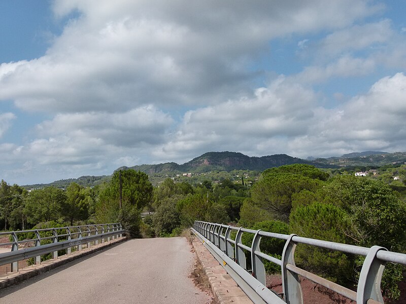 File:Pont de Can Torrella sobre la C-16 - P1080348.jpg