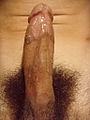 Během fáze vzrušení se z mužského penisu uvolňuje vazká tekutina, jež rovněž napomáhá lubrikaci.