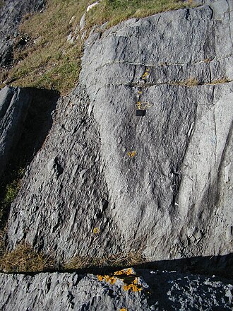 Deformed waterlain volcanic sediments. Primary fabric (bedding) shown by abrupt change in clast size, secondary fabric shown by penetrative S-fabric, cleavage, in fine-grained rock, and by shape fabric in deformed volcanic clasts. Cape Forchu, Nova Scotia Primary and secondary fabrics.JPG