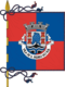 Flag of the Concelhos São Pedro do Sul