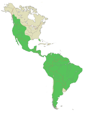 Mapa de distribuição geográfica da Suçuarana (Puma)