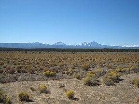 Pumice Plateau, Central Oregon