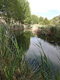 Miniatura para Río Abión