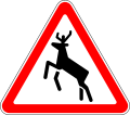 Deer area