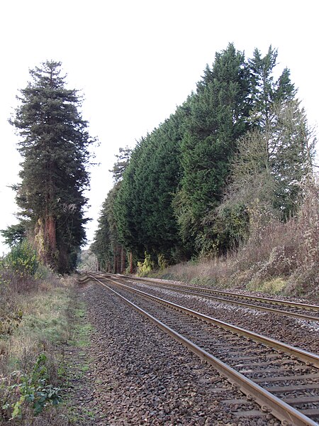 File:Railway line near Bradford-on-Avon - geograph.org.uk - 2726053.jpg